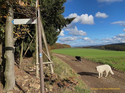 Traumschleife Schild und Kuvasz